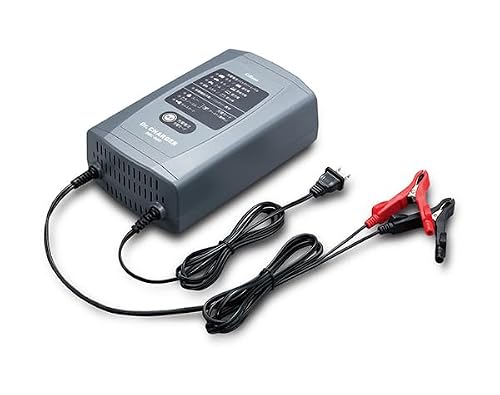 パルス充電器 バッテリー充電器」の人気商品一覧 | 安い商品を通販